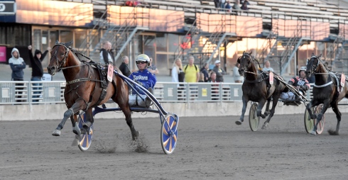 San Moteur flög fram till seger i Prix Readly Express. Foto: Lars Jakobsson, TR Bild